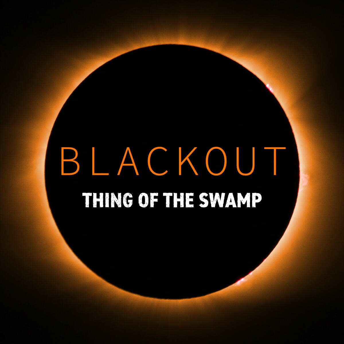 Deranged by Thing of the Swamp